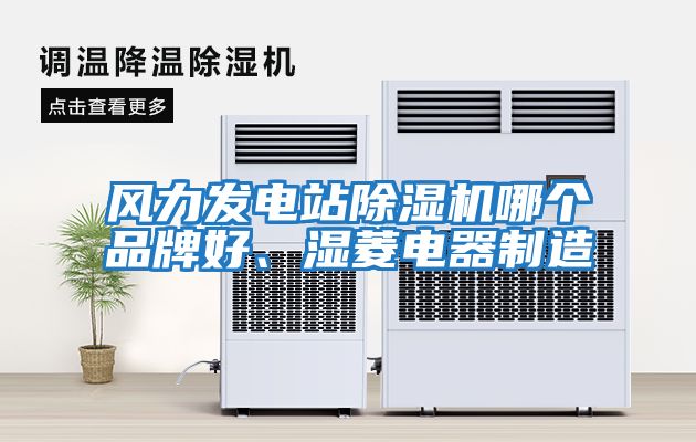 風(fēng)力發(fā)電站除濕機(jī)哪個品牌好、濕菱電器制造