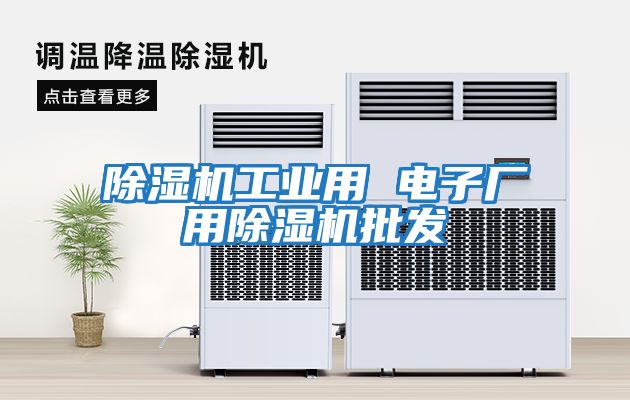 除濕機(jī)工業(yè)用 電子廠用除濕機(jī)批發(fā)