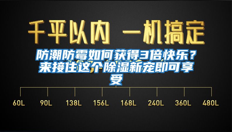 防潮防霉如何獲得3倍快樂？來接住這個除濕新寵即可享受